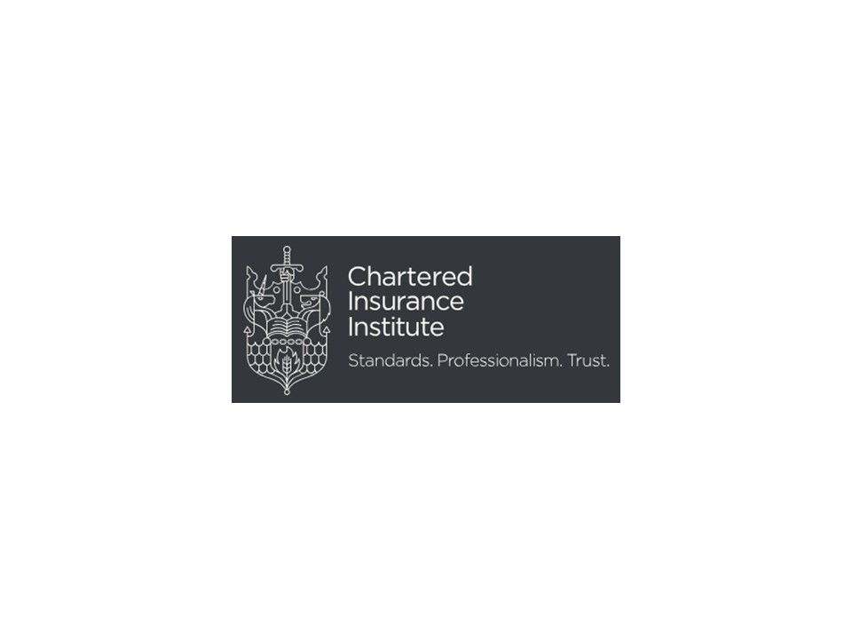 Executive Director, Member Engagement, Chartered Insurance Institute (AATAEF)
